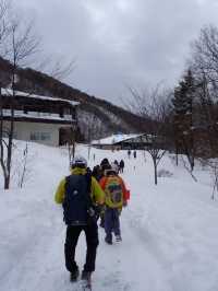 冬の高山❄️