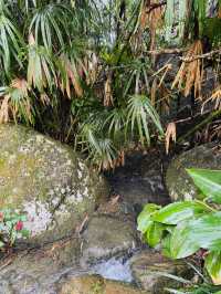 Finding Zen by the Waterfall