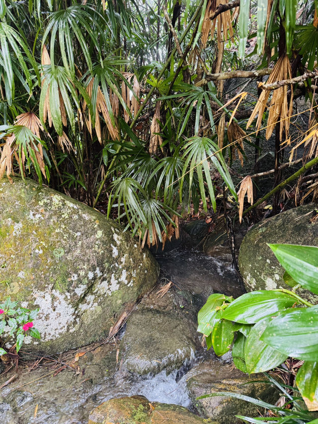 Finding Zen by the Waterfall