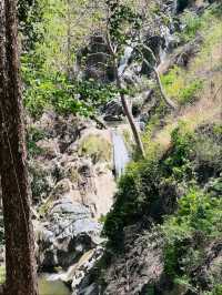 อุทยานแห่งชาติลานสาง