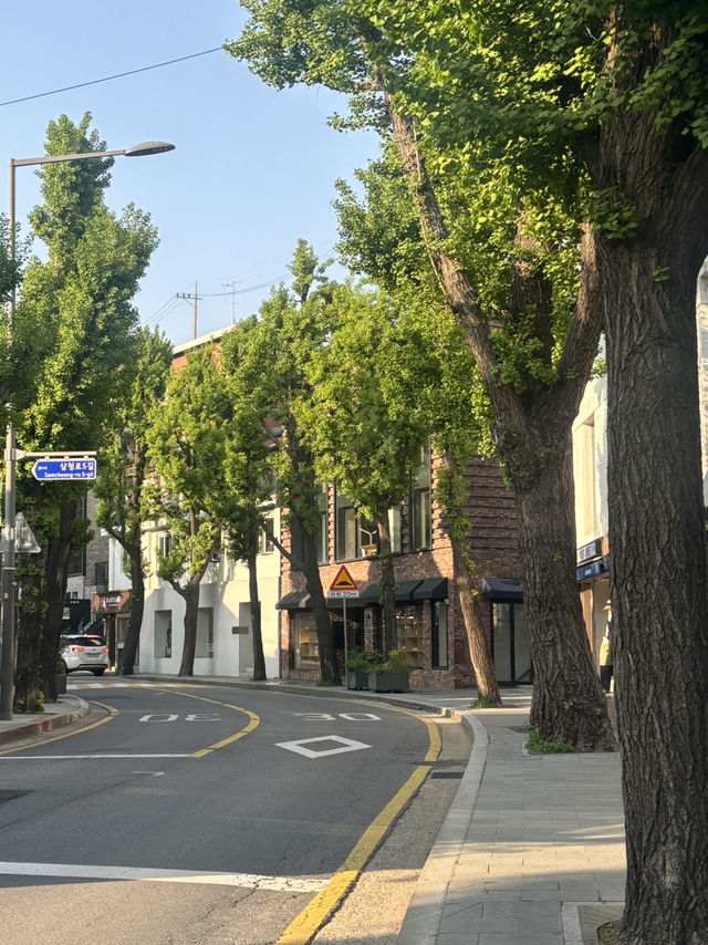 삼청동을 느껴봐!