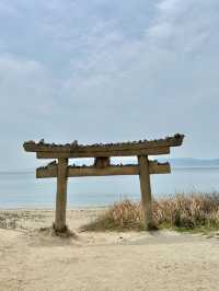 Okayama- Naoshima Island 
