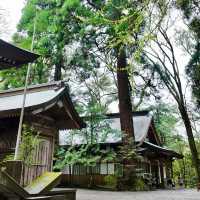中井神社·隱秘靜謐