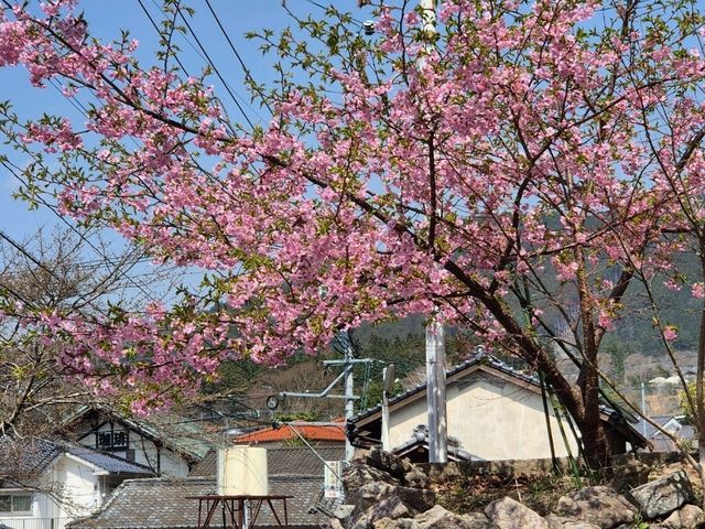 유후인 버스투어 코스❣️
