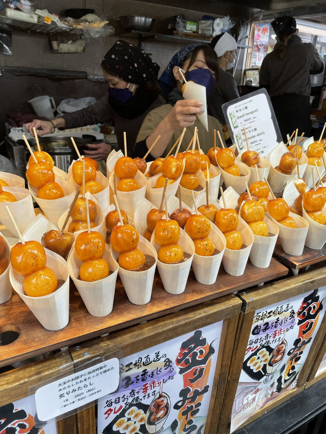 【京都🍁嵐山】一年中美しい庭園・天龍寺