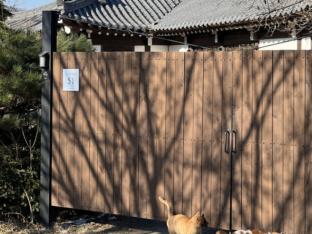 🌿 “오후 다섯시, 시간도 마음도 잠시 멈추는 곳”