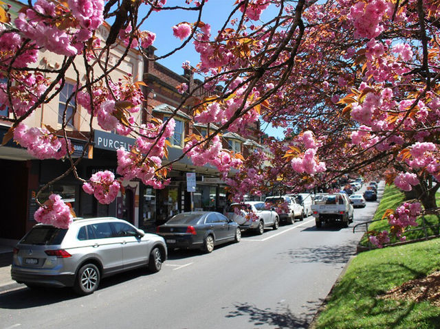 My Serene Weekend Getaway in the Blue Mountains 
