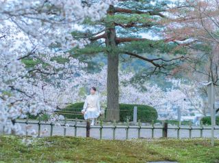 KANAZAWA | KYOTO THU NHỎ