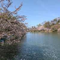 Suzaka Garyu Park, Nagano