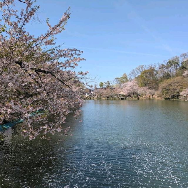 Suzaka Garyu Park, Nagano