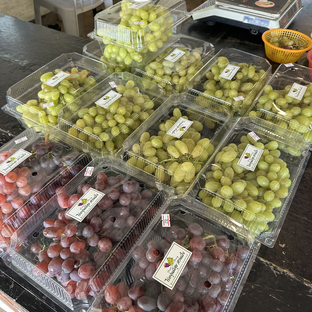 ไร่องุ่นมีสุข อำเภอสวนผึ้ง ราชบุรี