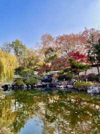 🇨🇳 Nanjing Presidential Palace: History Buff’s Gem