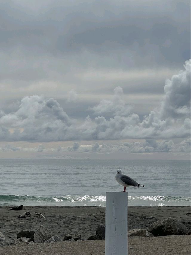 🇳🇿鈕西蘭 西海岸 Hokitika：海邊、森林、樹頂、藍河