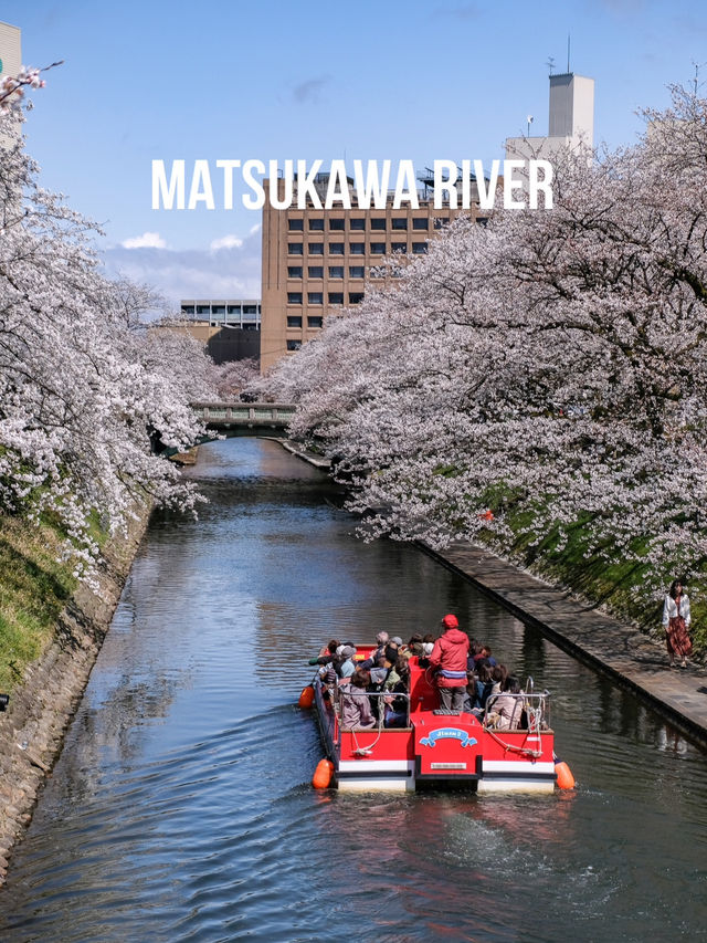 🌸พาชมซากุระสวยๆริมคลอง Matsukawa เมืองโทยาม่า