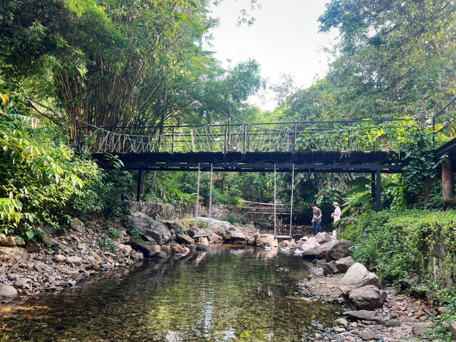 บ้านในหมง treehouse ระนอง