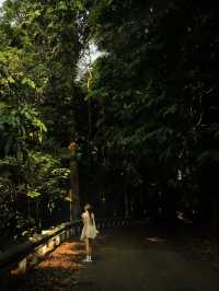 VQG Cúc Phương