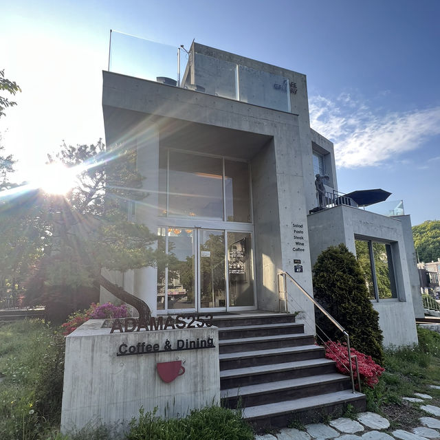 파주 헤이리 마을 미술관 같은 감성 카페🌳