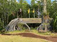 เที่ยวป่าชายเลน อุทยานแห่งชาติหมู่เกาะชุมพร 