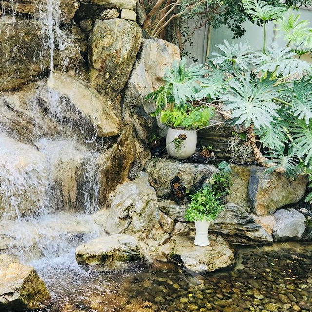 Exploring the Hanbat Arboretum