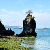 Stanley Park – Vancouver, BC (Canada)