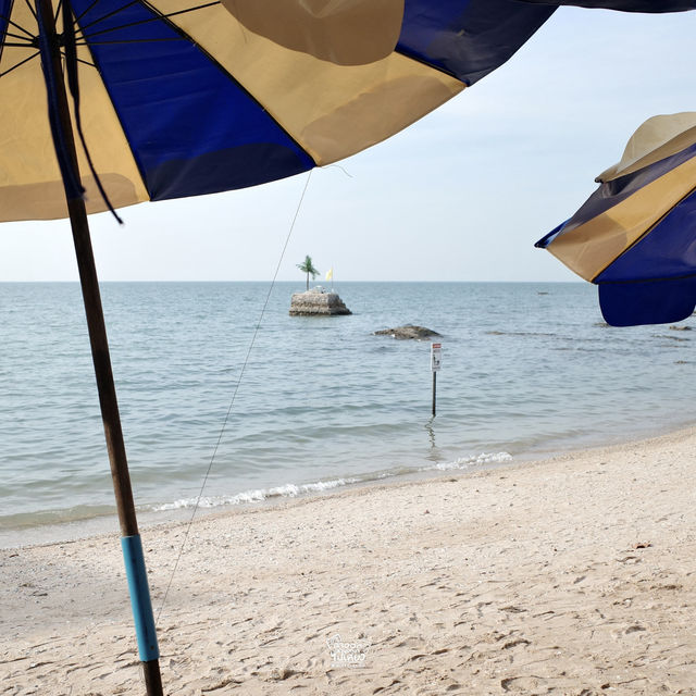  แวะมาชวนไปเที่ยวคาเฟ่ริมทะเลบางแสน 🏖️