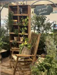 🌿 Sounds Forest: สวนในร่มกลางเมือง
