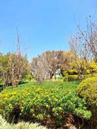 A Relaxing Day in Kunming