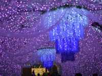 【御殿場高原 時之栖】冬の夜を彩るイルミネーション！
