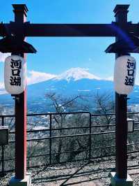 ［東京旅遊］天上山公園-搭乘纜車🚡遠眺富士山🗻風光