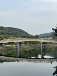 Kansai for the first time!
