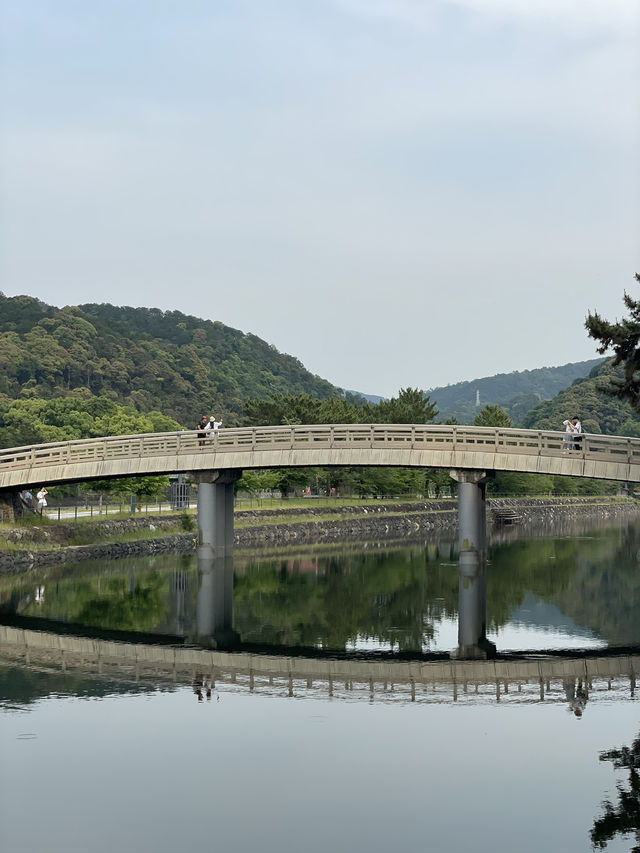 Kansai for the first time!
