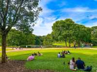Finding Serenity in the City – A Morning at Eco Lake, Singapore Botanic Gardens