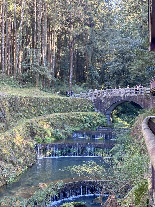 alishan national park