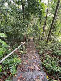 ชมวิว 360 องศาอันตระการตาของความเขียวชอุ่ม