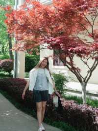 เดินเล่นในประวัติศาสตร์กลางเมืองหนานจิง