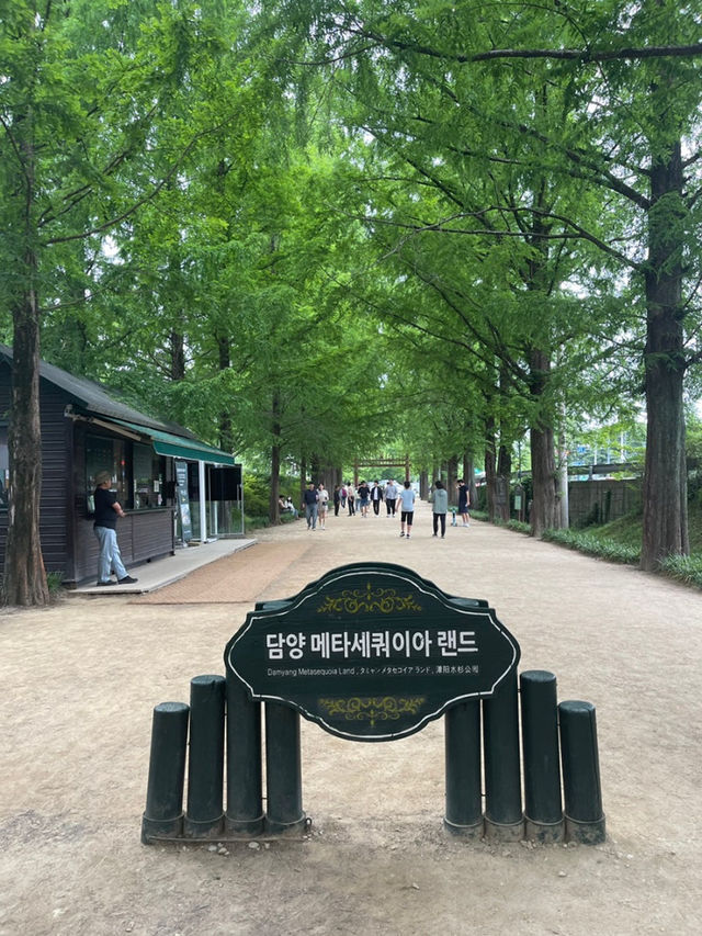 부여 백제 문화단지 체험