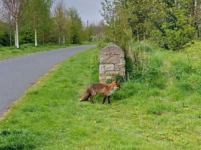 Clonmel – A Scenic Gem in County Tipperary, Ireland
