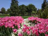 Istanbul’s Gülhane Park: Tulips and Traditions