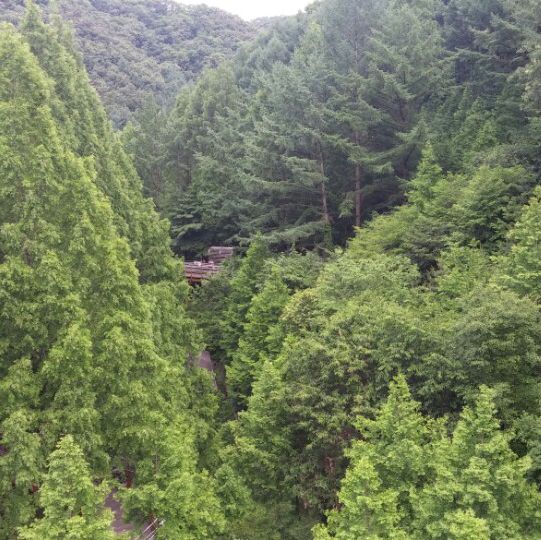 휴양림 힐링과 속리산 법주사 1박 2일 코스
