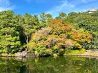 Spring Wanders in Koko-en Garden