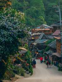 เดินชิลๆ สูดอากาศดีๆ ที่หมู่บ้านแม่กำปอง 🌿🌳•••••