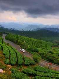 Munnar: India’s Emerald Escape in the Western Ghats