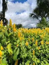 Sirao Garden