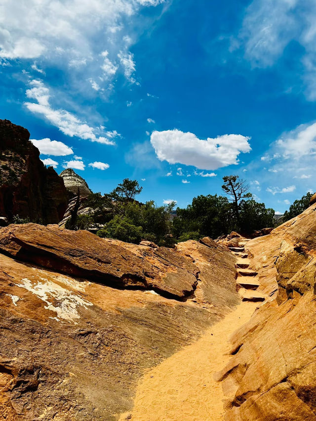 🌄 The Easiest Hike with a Legendary View: Canyon Overlook Trail, Zion