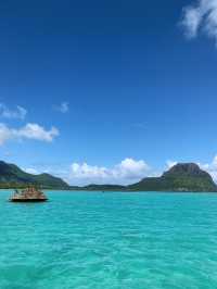 Unforgettable Boat Day in Le Morne: Dolphins, Snorkelling & Barbecue at Crystal Rock