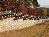 단풍이 물든 가을의 시간 – 현충사 산책