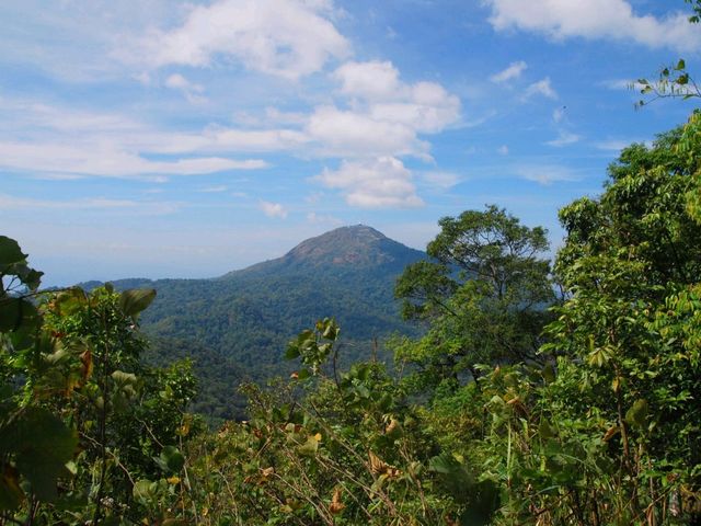 เขาสันหนอกวัว เดินป่าอุทยานแห่งชาติทองผาภูมิ
