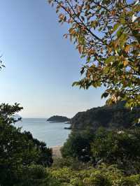 【香川→直島→豊島】アートを巡る旅！美術館＆島グルメを満喫