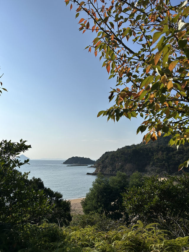 【香川→直島→豊島】アートを巡る旅！美術館＆島グルメを満喫