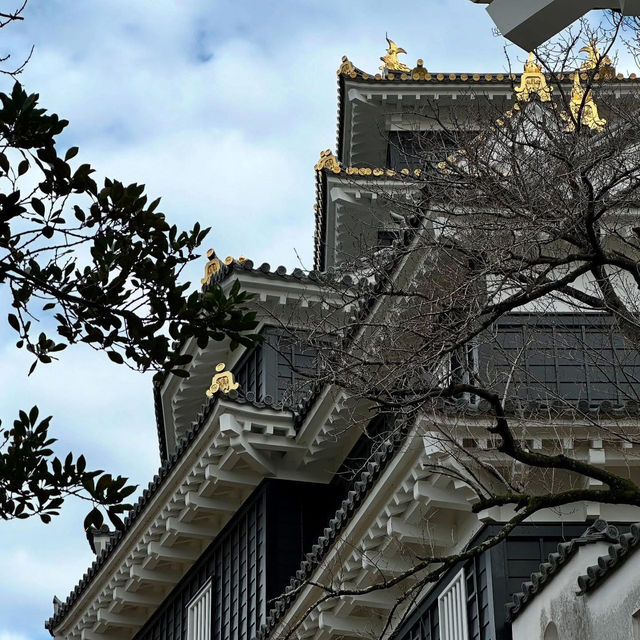  ### **🏯✨ Okayama Castle Weekend Escape: The "Crow Castle" & Garden Bliss